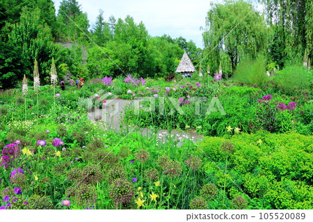 Hokkaido Travelogue Ueno Farm in June Afternoon Garden Hokkaido Travelogue Ueno Farm in June Afternoon Garden 105520089