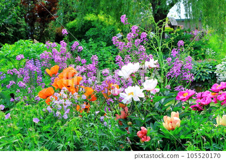 Hokkaido Travelogue Ueno Farm in June Afternoon Garden 105520170