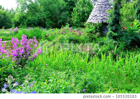 Hokkaido Travelogue Ueno Farm in June Afternoon Garden 105520183