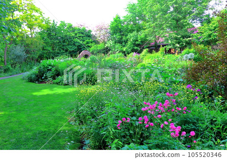 Hokkaido Travelogue Ueno Farm in June Afternoon Garden 105520346