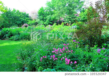 Hokkaido Travelogue Ueno Farm in June Afternoon Garden 105520347