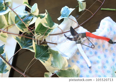 Flower arrangement work in progress 105520713