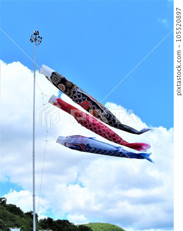 Carp streamers swimming energetically in the blue sky, three swimming, a large black carp, a red carp, and a small blue carp Carp streamers swimming energetically in the blue sky, three swimming, a large black carp, a red carp, and a small blue carp 105520897