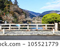 Togetsukyo Bridge and Arashiyama 105521779