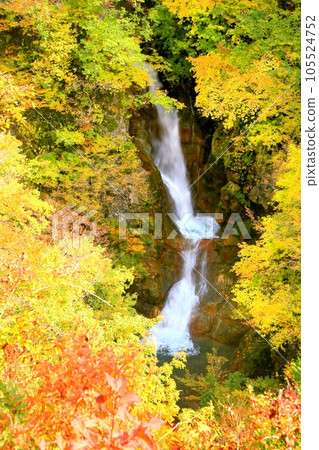 Autumn leaves of Akiyamago / Jabuchi Falls 105524752