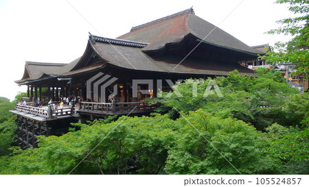 清水寺 105524857
