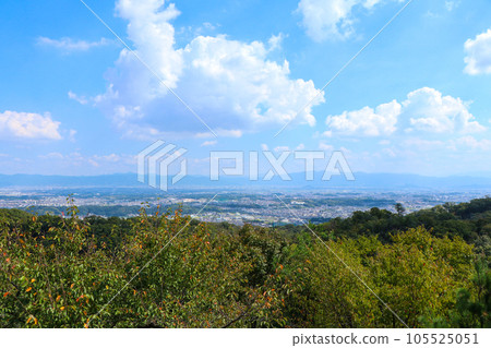 從明神山頂眺望奈良盆地 從明神山頂眺望奈良盆地 105525051
