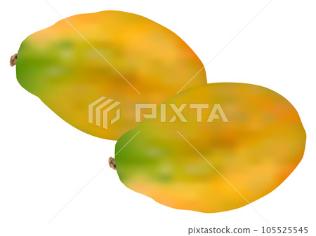 "Papaya (Papaya)" Two sideways overlapping 105525545