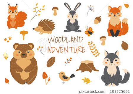 Vector illustration with cute forest animals in cartoon style. Squirrel, fox, wolf, bear, hedgehog, butterfly, bird. Twigs, cones, acorn, leaves, grass. Autumn in the forest. Vector illustration with cute forest animals in cartoon style. Squirrel, fox, wolf, bear, hedgehog, butterfly, bird. Twigs, cones, acorn, leaves, grass. Autumn in the forest. 105525691