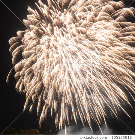Fireworks over a dark sky Fireworks over a dark sky 105525916