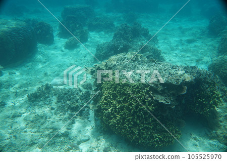 The sea of Okinawa The sea of Okinawa 105525970