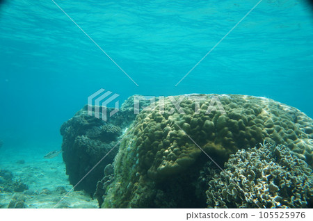 The sea of Okinawa The sea of Okinawa 105525976