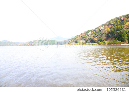 水月湖櫻花和水月湖櫻花和三方五湖 三方湖水月湖標誌 三方五湖福井縣若狹町櫻花春天風景 105526381