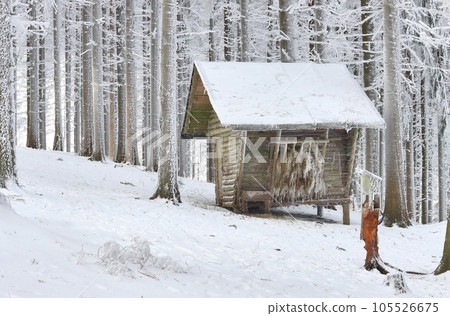Animal feeder in frostbitten forest 105526675
