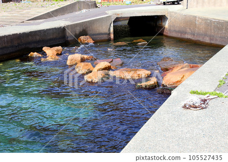 若狹、若狹佑子、魚志海灘、福井縣、若狹町、櫻花和若狹、漁船、魷魚漁船、若狹灣、日本海、常神半島 105527435