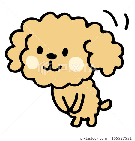 Loose hand-painted toy poodle Bow greeting pose 105527551