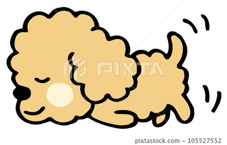 Loosely hand-painted toy poodle pose crawling forward 105527552