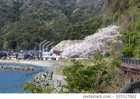 Wakasa Ogawa Fishing Port, Wakasa Ogawa Sea Fishing Park Mikata, Wakasa Town, Fukui Prefecture, Tsunegami Mikata Line, Wakasa Ogawamachi, Wakasa Bay, Sea of Japan Wakasa Ogawa Fishing Port, Wakasa Ogawa Sea Fishing Park Mikata, Wakasa Town, Fukui Prefecture, Tsunegami Mikata Line, Wakasa Ogawamachi, Wakasa Bay, Sea of Japan 105527882