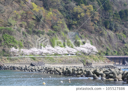 Wakasa Ogawa Fishing Port, Wakasa Ogawa Sea Fishing Park Mikata, Wakasa Town, Fukui Prefecture, Tsunegami Mikata Line, Wakasa Ogawamachi, Wakasa Bay, Sea of Japan Wakasa Ogawa Fishing Port, Wakasa Ogawa Sea Fishing Park Mikata, Wakasa Town, Fukui Prefecture, Tsunegami Mikata Line, Wakasa Ogawamachi, Wakasa Bay, Sea of Japan 105527886