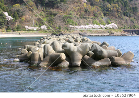 若狹小川漁港、若狹小川海釣公園三方、福井縣若狹町、常神三方線、若狹小川町、若狹灣、日本海 若狹小川漁港、若狹小川海釣公園三方、福井縣若狹町、常神三方線、若狹小川町、若狹灣、日本海 105527904
