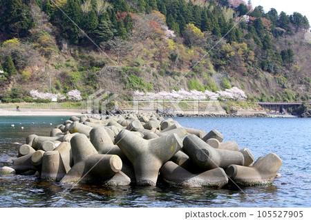 若狹小川漁港、若狹小川海釣公園三方、福井縣若狹町、常神三方線、若狹小川町、若狹灣、日本海 若狹小川漁港、若狹小川海釣公園三方、福井縣若狹町、常神三方線、若狹小川町、若狹灣、日本海 105527905