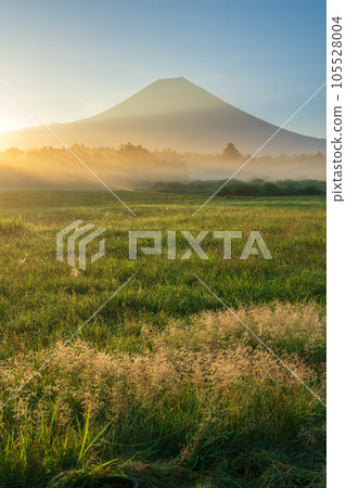 朝陽染紅的草原和晨霧中矗立的富士山 105528004