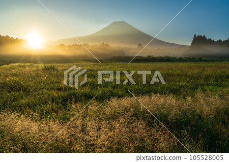 Mt.Fuji with morning mist and sunrise 105528005