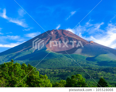 從水塚公園眺望夏天的富士山 從水塚公園眺望夏天的富士山 105528008