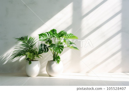 Potted green plants with white wall on the background. Sun rays. Houseplants. Generative AI Potted green plants with white wall on the background. Sun rays. Houseplants. Generative AI 105528407