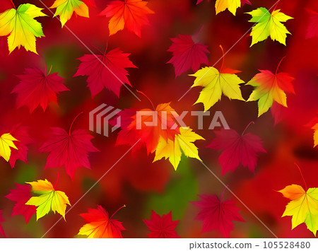 Autumn floral background red and yellow leaves. 105528480