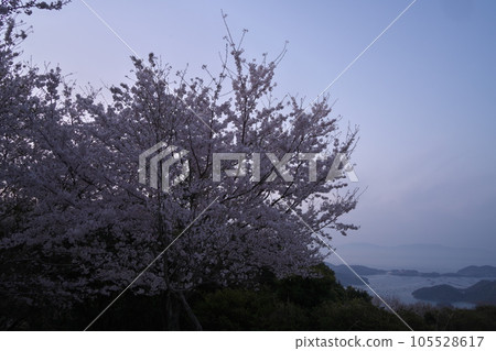 《Okayama Prefecture》 Setonaikai National Park Spring scenery seen at Mt. 105528617