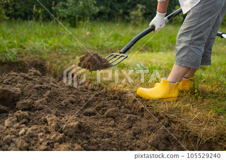Farmer cultivating land in the garden with hand tools. Soil loosening. Gardening concept. Rake and spade on loosened soil closeup. Agricultural work on the plantation. Farmer cultivating land in the garden with hand tools. Soil loosening. Gardening concept. Rake and spade on loosened soil closeup. Agricultural work on the plantation. 105529240