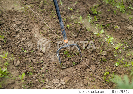 Agricultural worker with hoe. Handmade plowing farmer. Traditional agriculture.  105529242