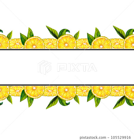 Watercolor frame lemon slice. Template. Hand drawn botanical illustration of yellow citrus fruits isolated on white background. Clipart objects for design and decoration, package, cards 105529916