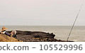 A Relaxed Fisherman Awaits His Catch Against a Beautiful Coastal Backdrop 105529996