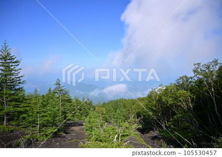 天氣晴朗時攀登富士山 天氣晴朗時攀登富士山 105530457