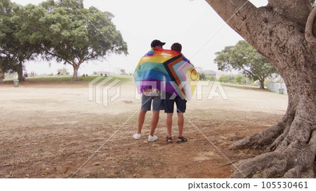 Back shot of two young men hugging with LGBT flag Back shot of two young men hugging with LGBT flag 105530461