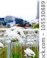 snowy bouquet 105530889