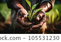 Farmer hand holding sprouts in the field. Concept of farming and planting 105531230