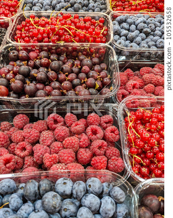 Variety of summer berries - raspberries, red currants, gooseberries and blueberries Variety of summer berries - raspberries, red currants, gooseberries and blueberries 105532658