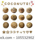 從不同角度觀看的椰子果透明背景 庫存照片 105532902