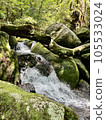 長滿苔蘚的岩石和河流 105533024