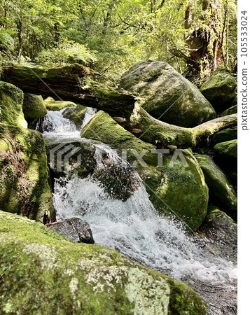 長滿苔蘚的岩石和河流 105533024