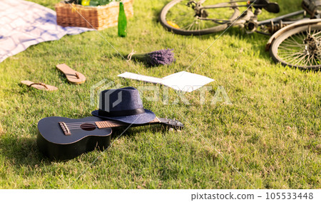 Summer picnic on sunny day with basket bouquet valender on grass 105533448