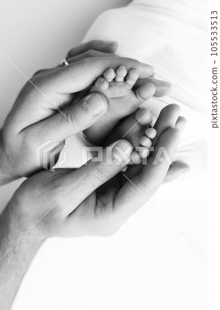 The palms of the father, the mother are holding the foot of the newborn baby on white background. The palms of the father, the mother are holding the foot of the newborn baby on white background. 105533513