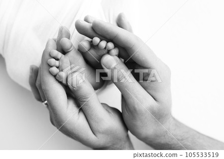 The palms of the father, the mother are holding the foot of the newborn baby on white background. The palms of the father, the mother are holding the foot of the newborn baby on white background. 105533519