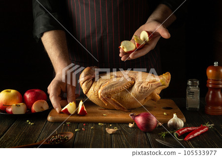 Adding apples to raw duck before cooking by the cook's hands. Raw duck on the kitchen table and cutting board. Working environment in a restaurant kitchen Adding apples to raw duck before cooking by the cook's hands. Raw duck on the kitchen table and cutting board. Working environment in a restaurant kitchen 105533977