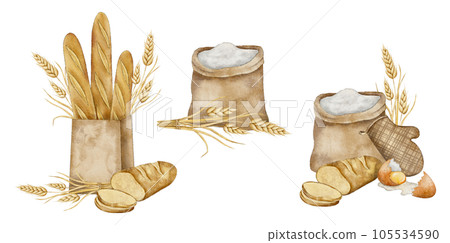 Set of flour sack, Crispy French baguettes in craft bag with bunch of spikelets of wheat, rye, grains and sliced fresh bread. Hand drawn watercolor illustration for bakery 105534590