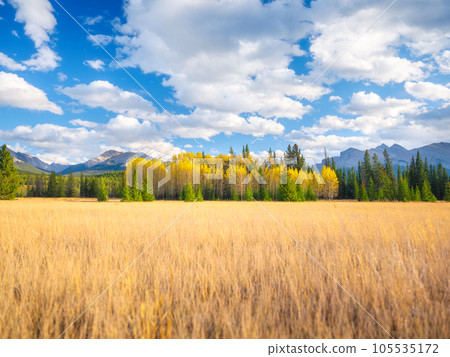 Mountain landscape. Sunbeams in a valley. Field and forest in a mountain valley.  105535172