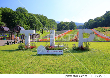 Tambara Lavender Park with a superb view <Numata City, Gunma Prefecture> Tambara Lavender Park with a superb view <Numata City, Gunma Prefecture> 105535182